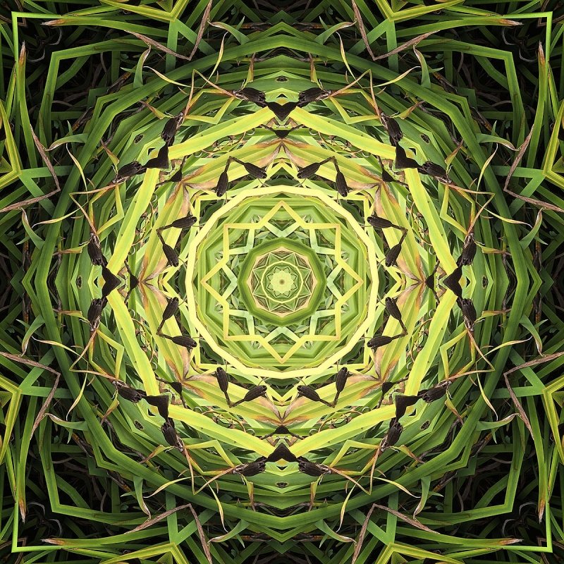 Mandala 